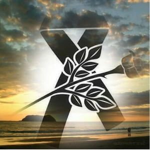 Meet your Posher, Doraly